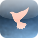Songbird Story